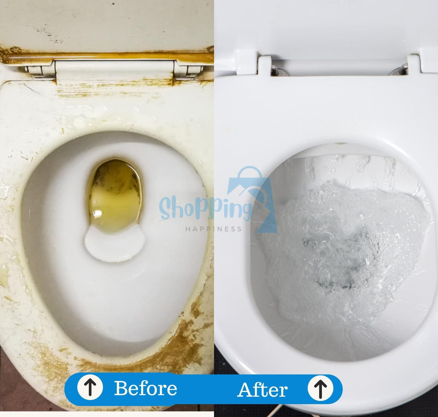 GharNeeds Toilet Cleaning Agent Powder 100 gm (Pack of 2)
