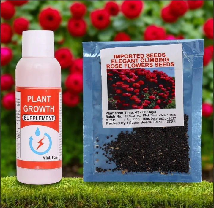 🌹 Elegant Climbing Rose Flower Seeds- Rare Seeds (Plant Growth Supplement Free)