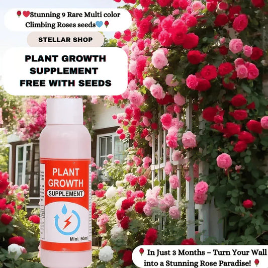 🌹 Elegant Climbing Rose Flower Seeds- Rare Seeds (Plant Growth Supplement Free)